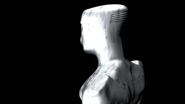 Cyborg gümüş whith karbon ışık 12