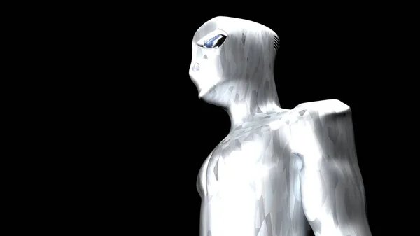 Cyborg gümüş whith karbon açık 19