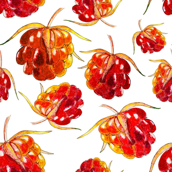 Seamless watercolor berries pattern, small handdrawn raspberries, cloudberries — Stock Photo, Image