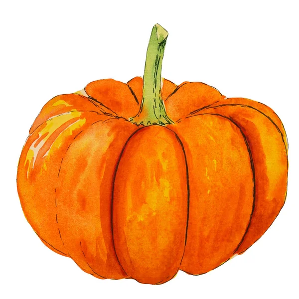 Ręcznie rysowana akwarela pomarańczowa dynia. Jesienna ilustracja na białym tle — Zdjęcie stockowe