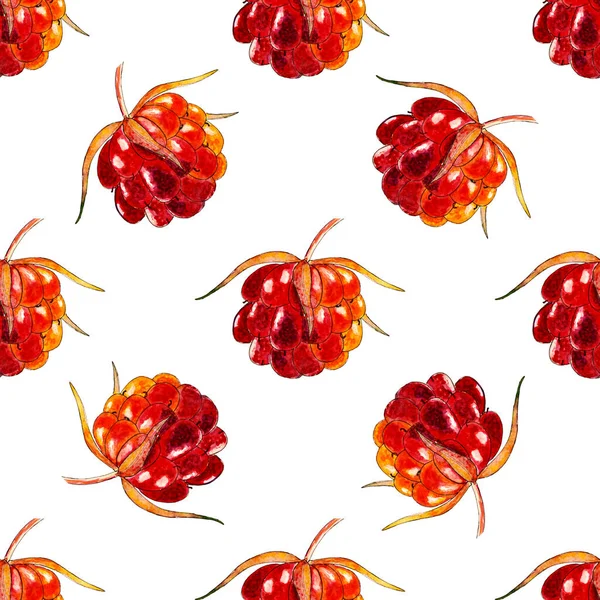 Seamless vector watercolor berries pattern, small handdrawn raspberries, cloudberries — Stock Vector