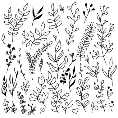 Çiçekli vektör elementleri seti - yapraklar ve dallar. Botanik el çizimleri koleksiyonu. Düğün tasarım unsurları, davetiye kartları, çerçeveler, sınırlar, çelenkler için harika.