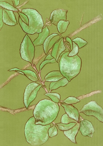 Guaj tekniğinde mor fil