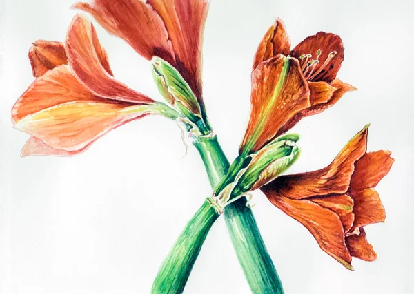 Guaj tekniğinde mor fil