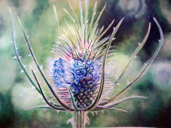 Bir dulavratotu çiçek tuval üzerine yağlıboya