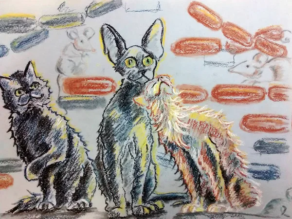 Garip kediyi dışarı balmumu kalem