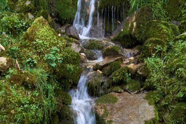 Georgia'daki Martvili kanyonu. Güzel doğal kanyon.