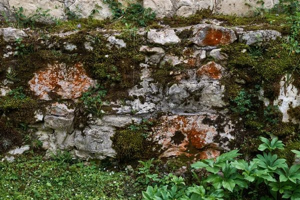 Starý kamenný plot zarostlý mechem — Stock fotografie
