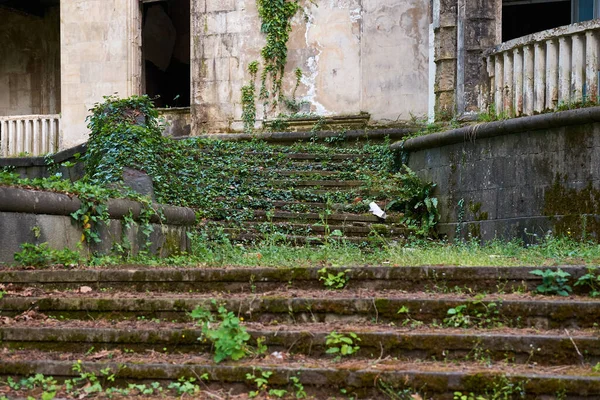 Terk edilmiş büyük merdiven