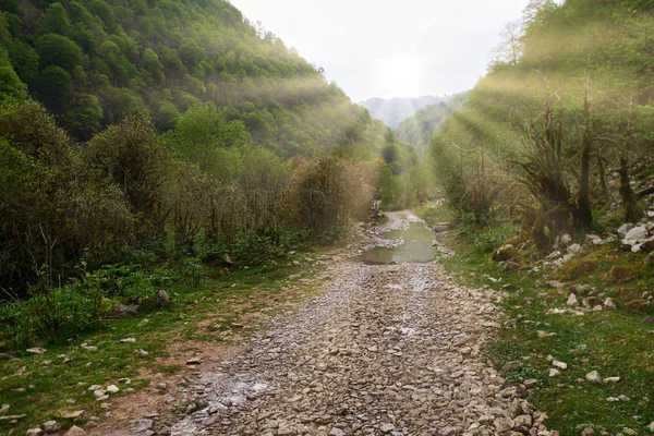 Дорога в горах після дощу — стокове фото