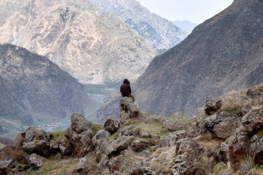 Tedo - Gürcistan 'ın Kazbegi belediyesinde, Stepantsminda toplumunda bir köy, Dariali vadisinde yer almaktadır. Dariali Boğazı.