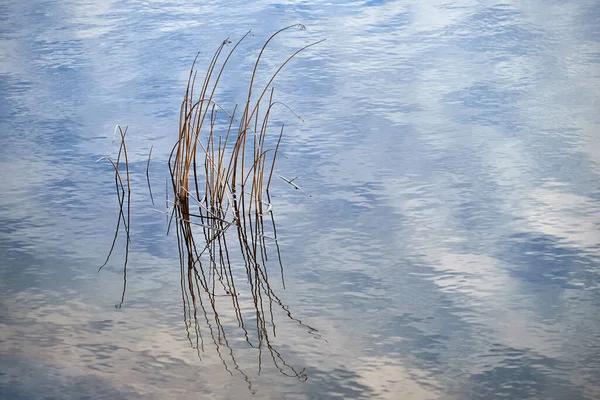 Reflections Lake Water Water Texture Spring Morning — Stock Photo, Image