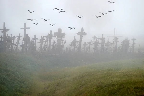 Hill Crosses Kryziu Kalnas Famoso Local Peregrinação Norte Lituânia Hill — Fotografia de Stock