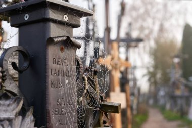 Haçlar Tepesi (Kryziu kalnas), Litvanya 'nın kuzeyinde ünlü bir hac mekanı.