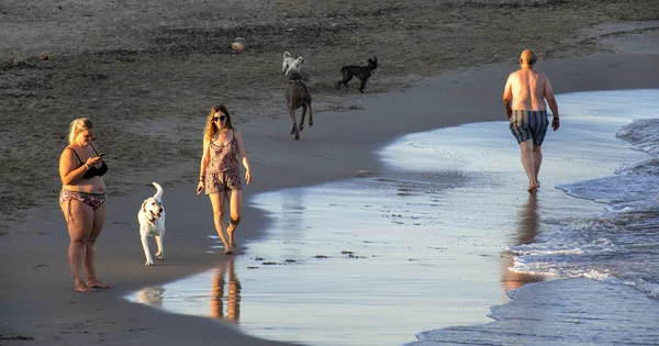 Múrcia, Espanha, 20 de agosto de 2019: Pessoas em uma praia com animais de estimação desfrutando da última luz solar na praia durante o verão . — Fotografia de Stock