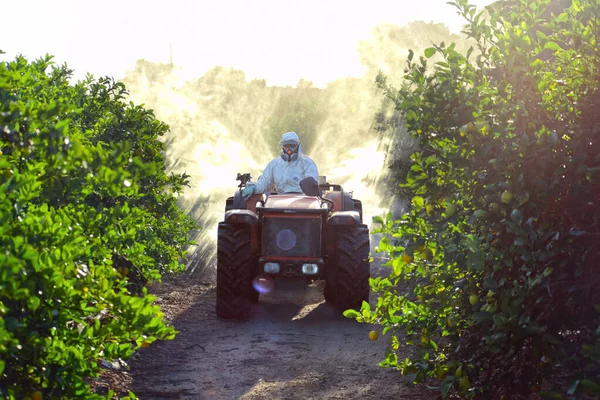 Agricultor dirigindo trator pulverizando pesticida e inseticida em plantação de limão na Espanha. Fumigação de insecticida de ervas daninhas. Agricultura ecológica orgânica. Uma máquina de pulverização, trailed por pulverização trator — Fotografia de Stock