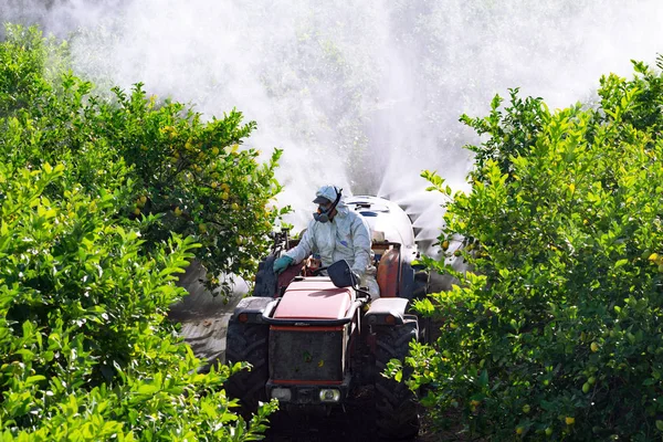 Верхній вид на трактор розпилює пестициди і інсектициди на лимонних плантаціях в Іспанії. Споживання м'яса інсектицидами. Органічне екологічне сільське господарство. Машина розпилювача, переслідувана трактором гербіцидом. — стокове фото
