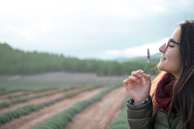 Caravaca de la Cruz, Murcia, İspanya 'da lavanta çiçeği kokusu alan hoş bir genç kadın..