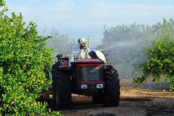 Trator pulverizando pesticida e inseticida em plantação de limão na Espanha. Fumigação de insecticida de ervas daninhas. Agricultura ecológica orgânica. Uma máquina pulverizadora, trailed por herbicida do pulverizador do trator — Fotografia de Stock