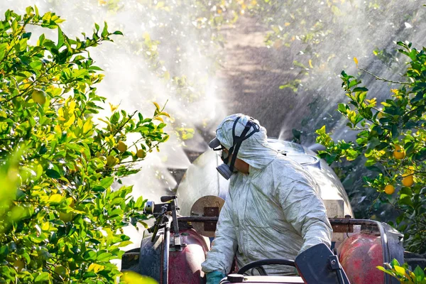 Tractor spraying pesticide and insecticide on lemon plantation in Spain. Weed insecticide fumigation. Organic ecological agriculture. A sprayer machine, trailed by tractor spray herbicide. — Stock Photo, Image