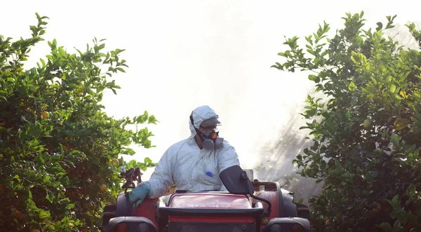 Trator pulverizando pesticida e inseticida em plantação de limão na Espanha. Fumigação de insecticida de ervas daninhas. Agricultura ecológica orgânica. Uma máquina pulverizadora, trailed por herbicida do pulverizador do trator . — Fotografia de Stock