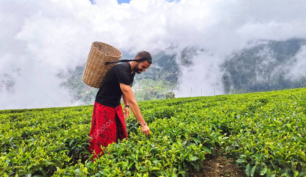 Tourists walking through tea plantations in Nuwara Eliya, Sri Lanka pretending to be native farmers.