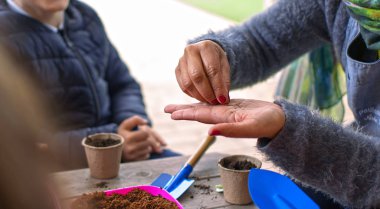 Küçük çocuklar bahçede tohum ekmeyi öğreniyorlar. Tohumları ve siyah toprağı saksıda tutan ellerin olduğu dar bir alan. İspanya 'da ilkokulda ekoloji bahçesi