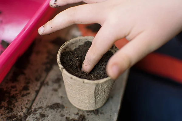 Anak-anak kecil belajar bagaimana menanam benih di kebun. Kedalaman bidang tangan yang sempit memegang benih dan tanah hitam dalam pot. Taman ekologi di sekolah dasar di Spanyol. — Stok Foto