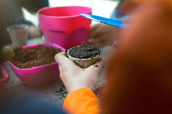 Anak-anak kecil belajar bagaimana menanam benih di kebun. Kedalaman bidang tangan yang sempit memegang benih dan tanah hitam dalam pot. Taman ekologi di sekolah dasar di Spanyol. — Stok Foto