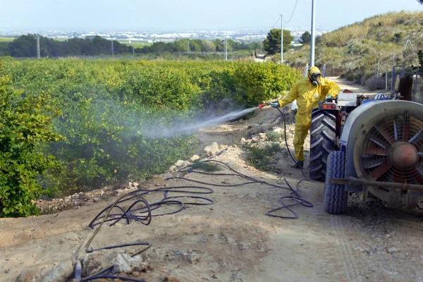 Fumigação de insecticida de ervas daninhas. Agricultura ecológica orgânica. Pesticidas de pulverização, pesticida em limão de fruto em plantação agrícola crescente, espanha. Homem pulverização ou fumigação pesti, controle de pragas — Fotografia de Stock