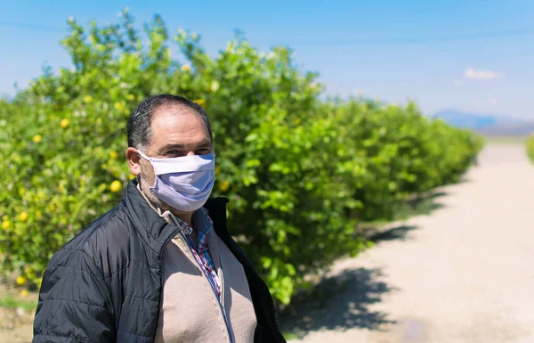 Idoso Máscara Médica Protetora Isolado Contra Campo Agrícola Coronavírus Conselhos — Fotografia de Stock