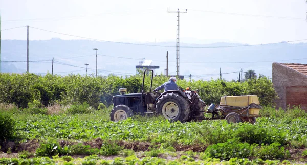 Trattori Che Spruzzano Pesticidi Insetticidi Sulle Piantagioni Limoni Spagna Fumigazione — Foto Stock