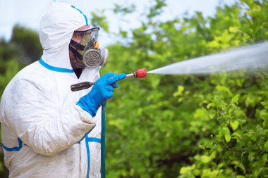 Ekolojik böcek ilacı sıkın. Çiftçi koruyucu elbiseyle dezenfekte edip limon ağaçlarını maskeliyor. Adam zehirli böcek ilacı, böcek ilacı, böcek ilacı sıkıyor.