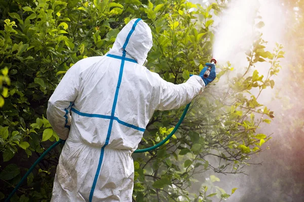 Sprej Ekologický Pesticid Farmář Fumiguje Ochranných Oblecích Maskuje Citrony Man — Stock fotografie