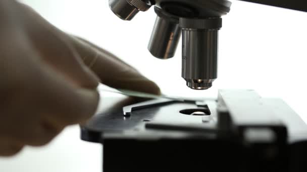 Um cientista colocando uma amostra sob um microscópio — Vídeo de Stock