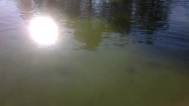 Sonnenreflexion auf der Wasseroberfläche — Stockvideo