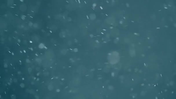 Kalter Schnee wie herabfallende Partikel — Stockvideo