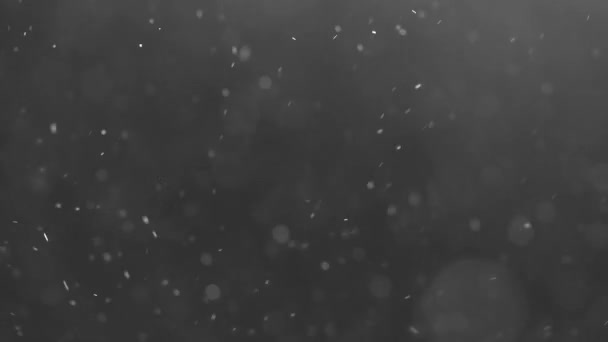 Sűrű, fekete háttér előtt lebegő részecskék — Stock videók