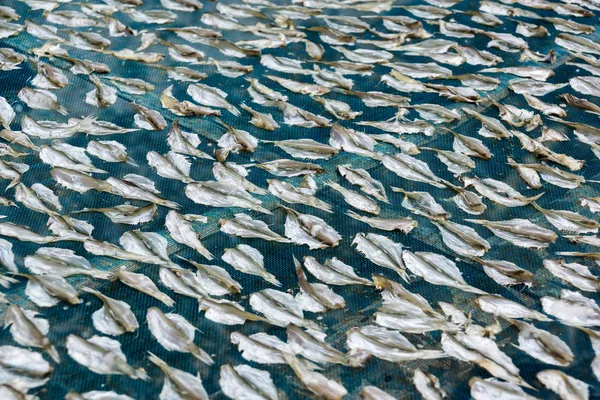 Läcker torkad fisk — Stockfoto