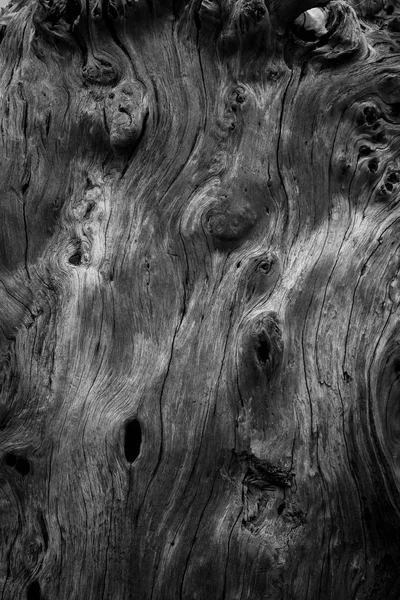 Texture e forme in legno — Foto Stock