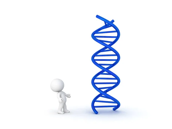3D персонаж смотрит вверх на двойную спираль ДНК — стоковое фото
