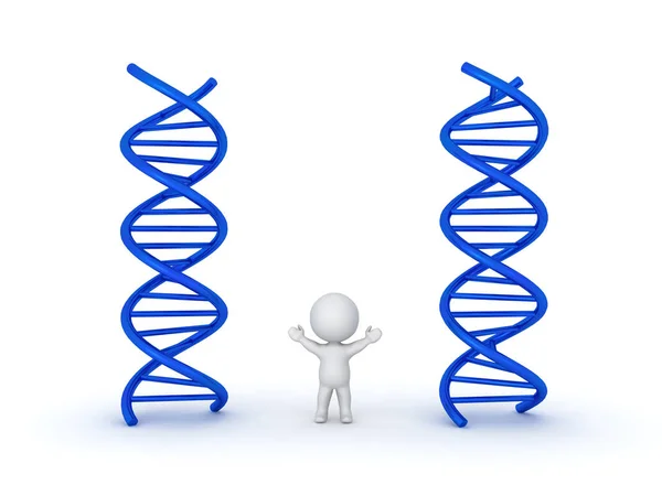 3D Carattere tra due doppie eliche DNA — Foto Stock
