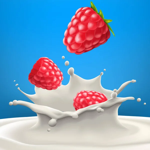 Raspberry ilustración vectorial realista de alta calidad — Vector de stock