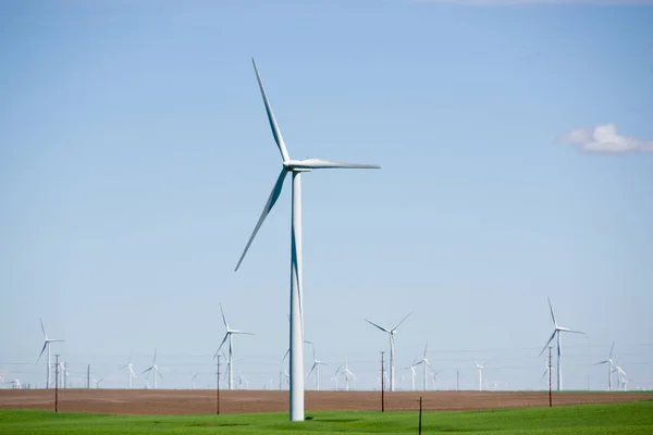 Windfarm Doğu Oregon