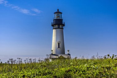 Yaquina Head Lighthouse clipart
