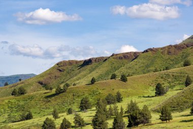 Doğu Oregon Hillside