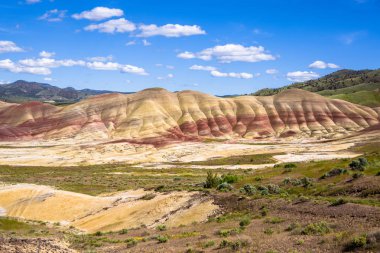 Hills oregon boyalı