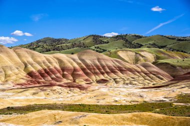 Hills oregon boyalı