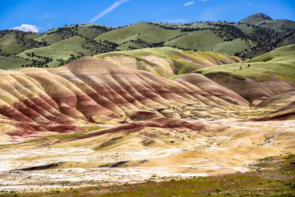Hills oregon boyalı