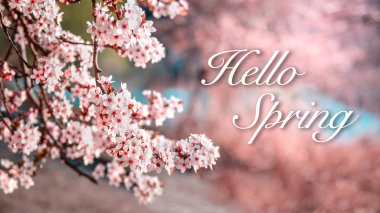 Welcoming spring - Hello spring message written on floral background